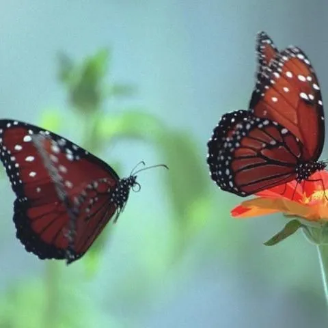 thumbnail for publication: Relationship CHANGE: How to Change Your Relationships for GOOD